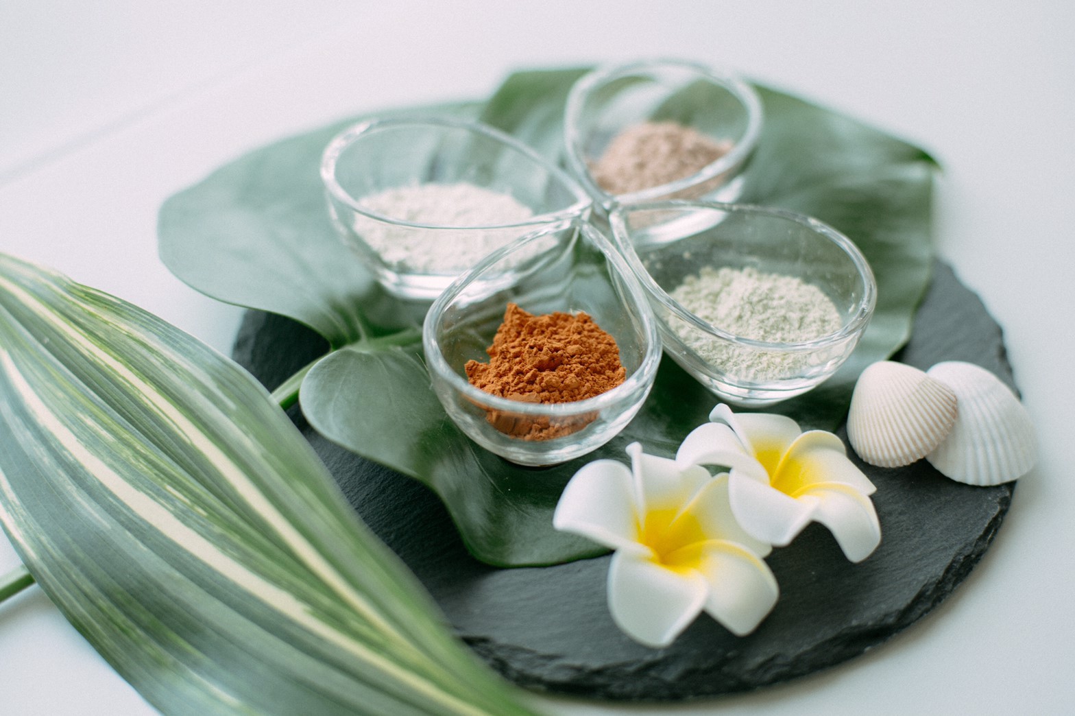 4種類のクレイ写真